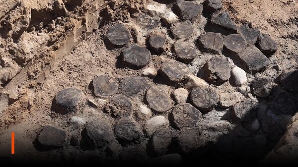 Arheologii au descoperit în Vologda, Federația Rusă, fundația unei fortărețe din vremea lui Ivan cel Groaznic, a anunțat primarul orașului, Serghei Jeastianikov - Sputnik Moldova