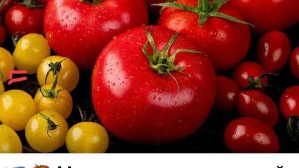 Очевидный успех аграрной политики Минсельхоза Молдовы - Sputnik Молдова