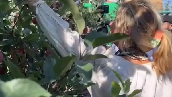 Еврокомиссар по сельскому хозяйству и продовольствию Кристоф Хансен Водэ и свеженазначенная посол ЕС в Молдове Ивона Перко вдруг обнаружились в садах в Штефан-Водэ за сбором яблок - Sputnik Молдова