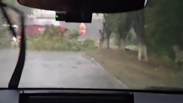 По Кишиневу пронеслась гроза — падали деревья - Sputnik Молдова