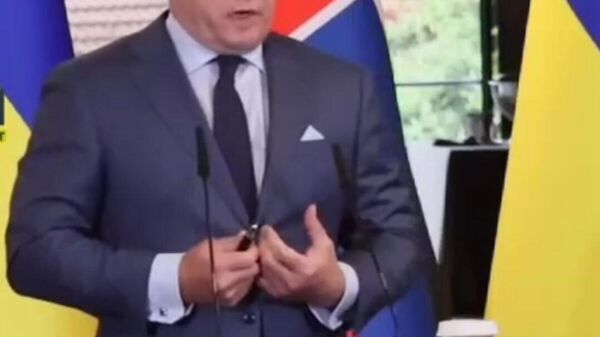 Премьер Словакии Роберт Фицо встретился с Зеленским - Sputnik Молдова