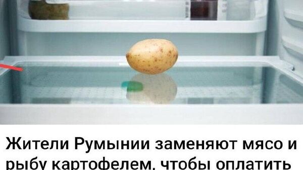 Реалии райского сада - Sputnik Молдова