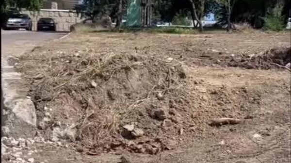 Unul dintre fruntașii socialiști, Vlad Batrîncea, vine cu un vlog de la fost Universitate Agrară pe care actualele autorități au lichidat-o - Sputnik Moldova