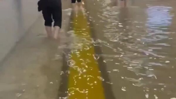 Токио уходит под воду - Sputnik Молдова