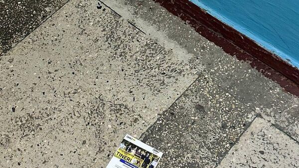 Представитель блока Победа Юрий Витнянский заявил, что по общежитиям Технического университета Молдовы распространяют агитационные листовки в поддержку партии PAS - Sputnik Молдова