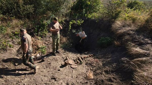 Сапёрам Национальной армии поисковики передали полтора десятка взрывоопасных предметов времён Великой Отечественной войны - Sputnik Молдова