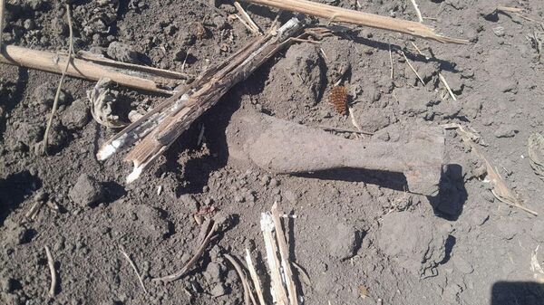 Опасная находка на Шерпенском плацдарме - Sputnik Молдова