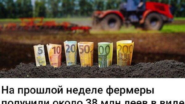 Все таки выборы надо проводить почаще Все таки выборы надо проводить почаще - Sputnik Молдова