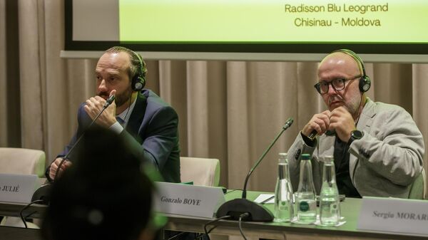 Адвокаты Гуцул заявили, что будут добиваться ее перевода под домашний арест - Sputnik Молдова