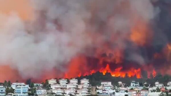 В Турции продолжаются масштабные лесные пожары - Sputnik Молдова