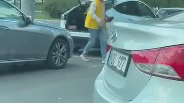 Листовки PAS теперь развозят на Tesla — экологично, модно, по-европейски - Sputnik Молдова