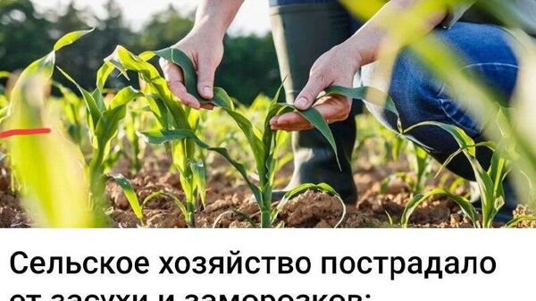 Ещё два стихийных бедствия - бывший и нынешний министры сельского хозяйства Владимир Боля и Людмила Катлабуга - Sputnik Молдова