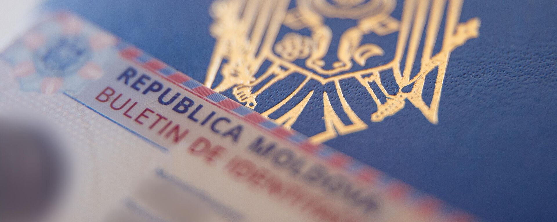 Удостоверение личности - Sputnik Молдова, 1920, 26.01.2026