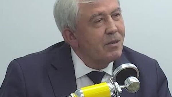 “В этой избирательной кампании власть PAS не давала конкурентам проводить предвыборные встречи даже в парках”, - Анатолий Дубровский, политолог, доктор истории - Sputnik Молдова