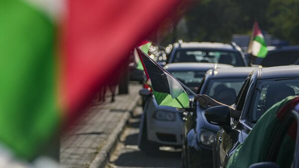 Steagurile Palestinei - Sputnik Moldova