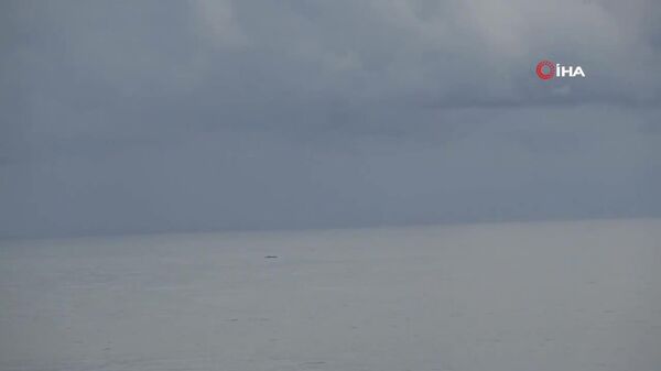 În Turcia, genişti au neutralizat o ambarcațiune suspectă, posibil ucraineană, descoperită în largul coastelor Trabzonului, relatează televiziunea locală - Sputnik Moldova