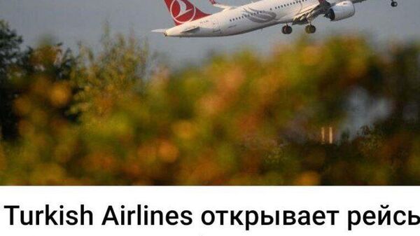 А если улучшить отношения с Россией, можно было бы летать из Кишинева в Москву и обратно - Sputnik Молдова