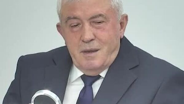 PAS фактически использовала государство для своей кампании: министры участвовали в пропаганде и применялся административный ресурс, заявил политолог Анатолий Дубровский - Sputnik Молдова