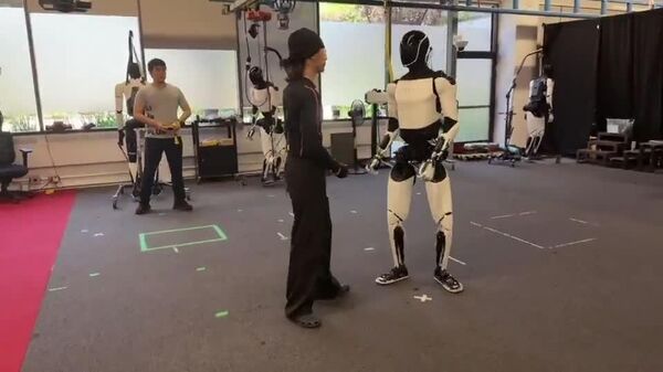 Elon Musk a publicat un videoclip în care robotul umanoid Optimus se antrenează în stilul artelor marțiale kung-fu - Sputnik Moldova