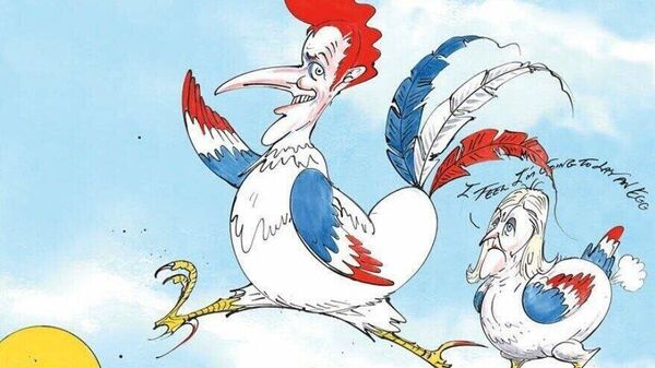 The Times l-a numit pe Macron o rață șchioapă, șchiopătând spre sfârșitul mandatului său în 2027 și nesigur dacă va supraviețui atât de mult - Sputnik Moldova