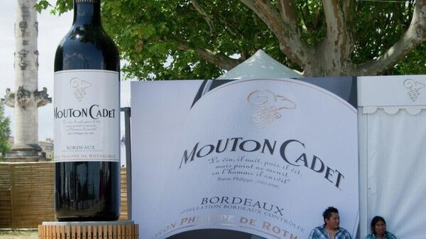 Producția de vin în Franța va scădea la cel mai mic nivel din ultimii 30 de ani – din cauza vremii nefavorabile și a incendiilor provocate de aceasta - Sputnik Moldova