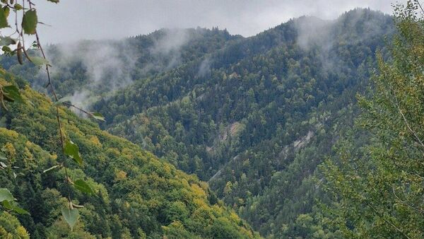Colorit de toamnă, peste pădurile din Buzău - Sputnik Moldova