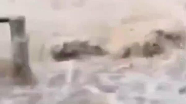 Не менее 37 человек погибли из-за проливных дождей на побережье и в центральных районах Мексики, сообщает газета El Universal со ссылкой на власти страны - Sputnik Молдова