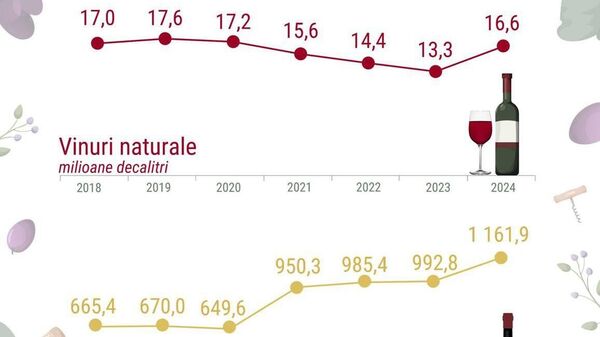 Exporturile de vin moldovenesc nu au reușit să atingă nivelurile din 2019 - Sputnik Moldova