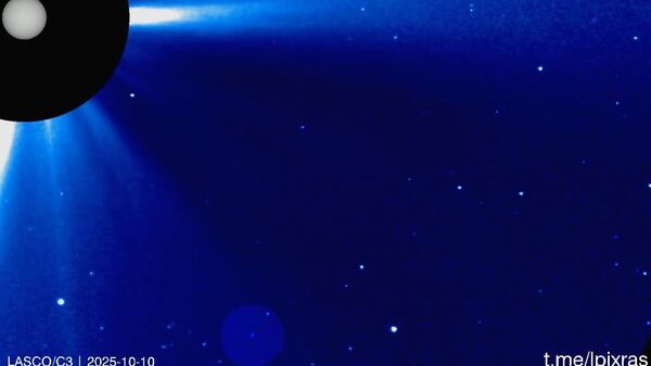 Soarele a „ars” două comete la interval de doar câteva ore, iar acest proces a fost surprins pe video, au anunțat reprezentanții Laboratorului de Astronomie Solară al IKI RAN - Sputnik Moldova