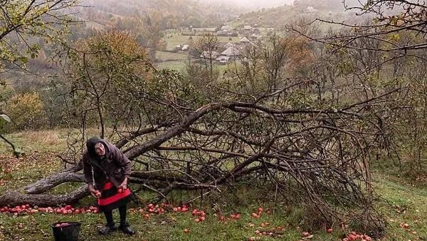 Maria din Maramureș și toamna din mâinile ei - Sputnik Moldova