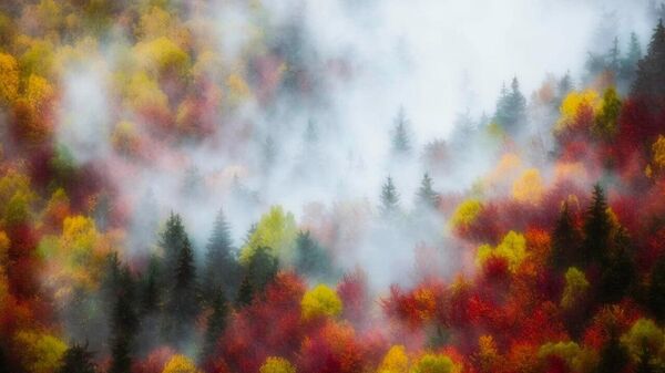 Octombrie în culori impresioniste - Sputnik Moldova