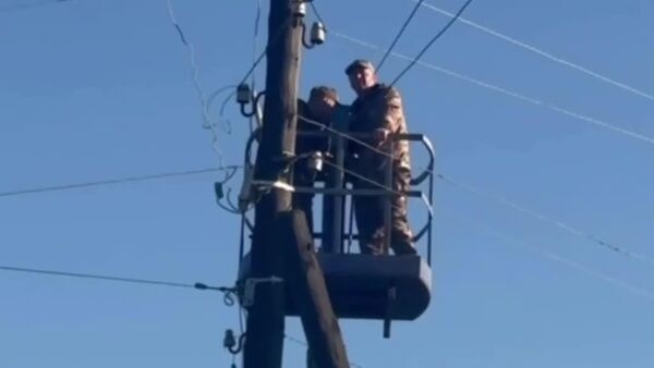 Operațiune de salvare neobișnuită în Transbaikal (Zabaikalie), Federația Rusă: voluntarii au fost nevoiți să dea jos de pe un stâlp un râs - Sputnik Moldova