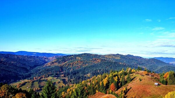 Magia toamnei în pădurile Moldoviței - Sputnik Moldova