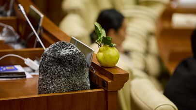 Заседание парламента Молдовы