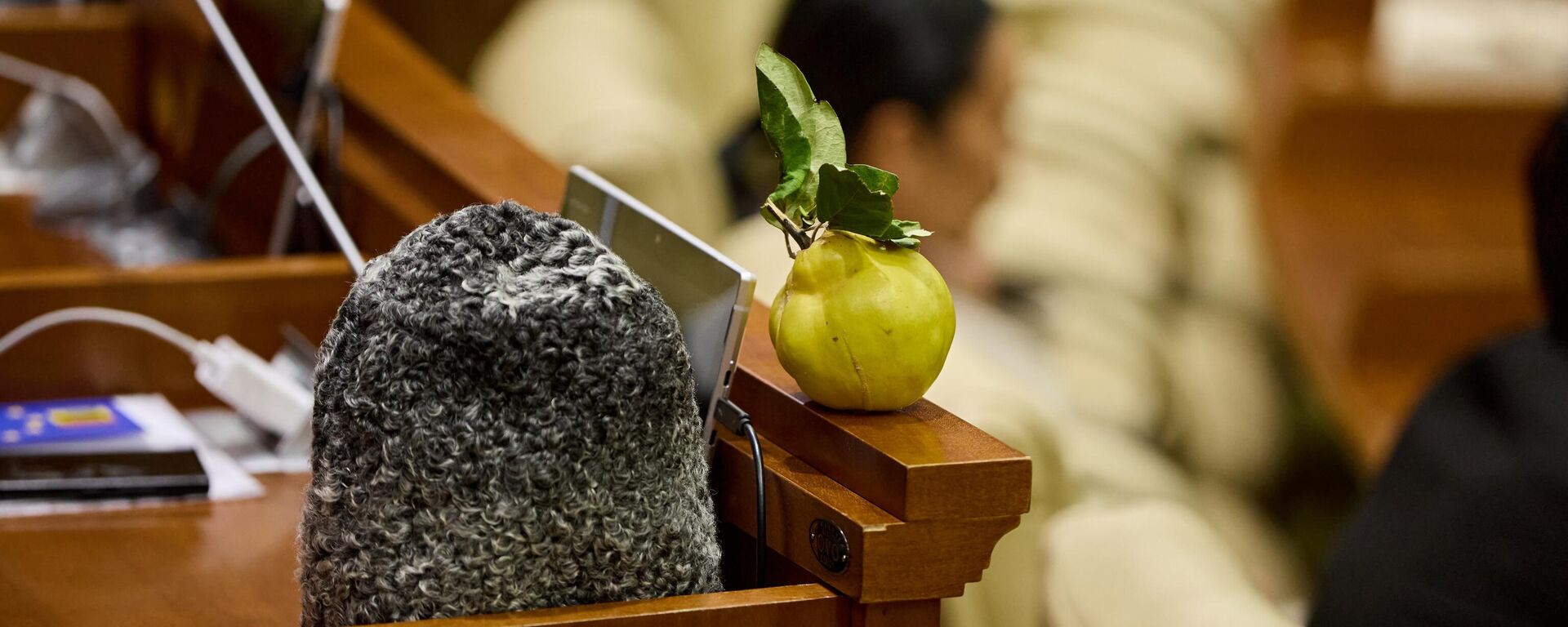 Осенняя сессия парламента Молдовы XII созыва официально завершена - Sputnik Молдова, 1920, 31.12.2025