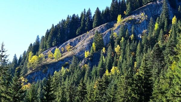 O zi superbă de toamnă, în Parcul Național Retezat - Sputnik Moldova