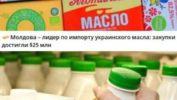 Помогаем чужой экономике - Sputnik Молдова