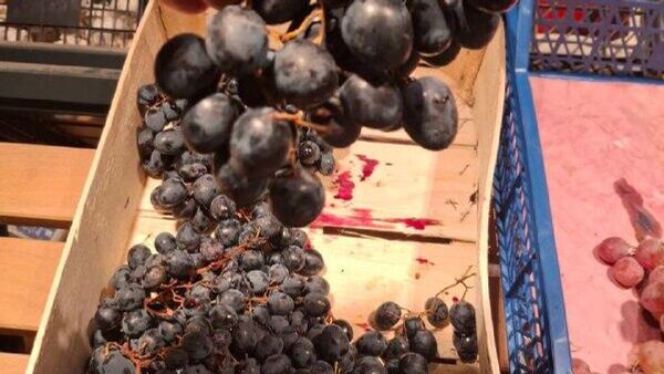 Alexandr Slusari, face o analiză a calității strugurilor de import care sunt comercializați în rețelele de magazine și cele ale producător naționali, care nu sunt acceptați în rețelele comerciale, controlate de multinaționale, nu de moldoveni - Sputnik Moldova