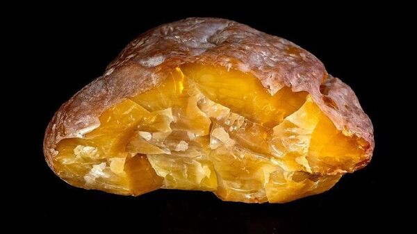 Cel mai mare bulgăre de chihlimbar din ultimii patru ani a fost extras la Kaliningrad – acesta cântărește peste 2 kilograme și a primit numele „Recordman” - Sputnik Moldova