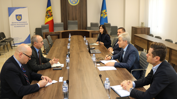 Руководство агентства по регулированию в энергетике встретилось с членами посольства США - Sputnik Молдова