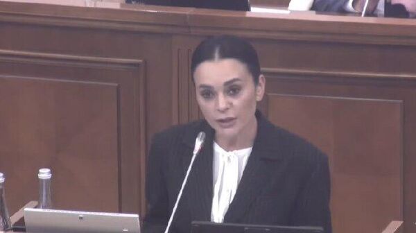 Фракция Нашей партии не будет голосовать за правительство Мунтяну - Sputnik Молдова