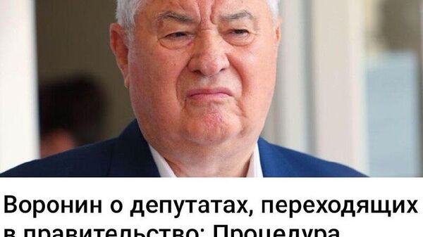 Владимир Воронин адресовал напутственные слова депутатам PAS, уходящим в правительство Молдовы - Sputnik Молдова