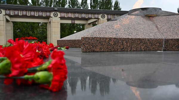 Молдова участвовала в посвященной юбилею Победы конференции российских соотечественников - Sputnik Молдова