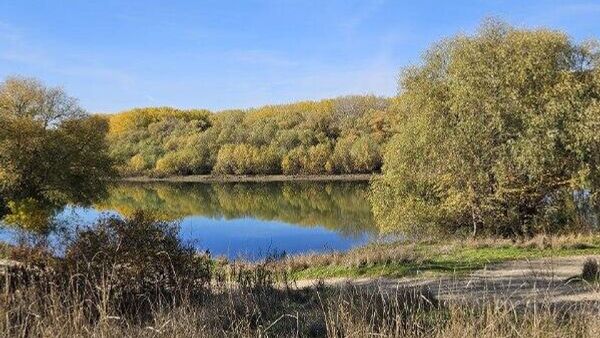 А так было на Днестре, в районе Вадул-луй-Вод, этим теплым первым днем ноября - Sputnik Молдова