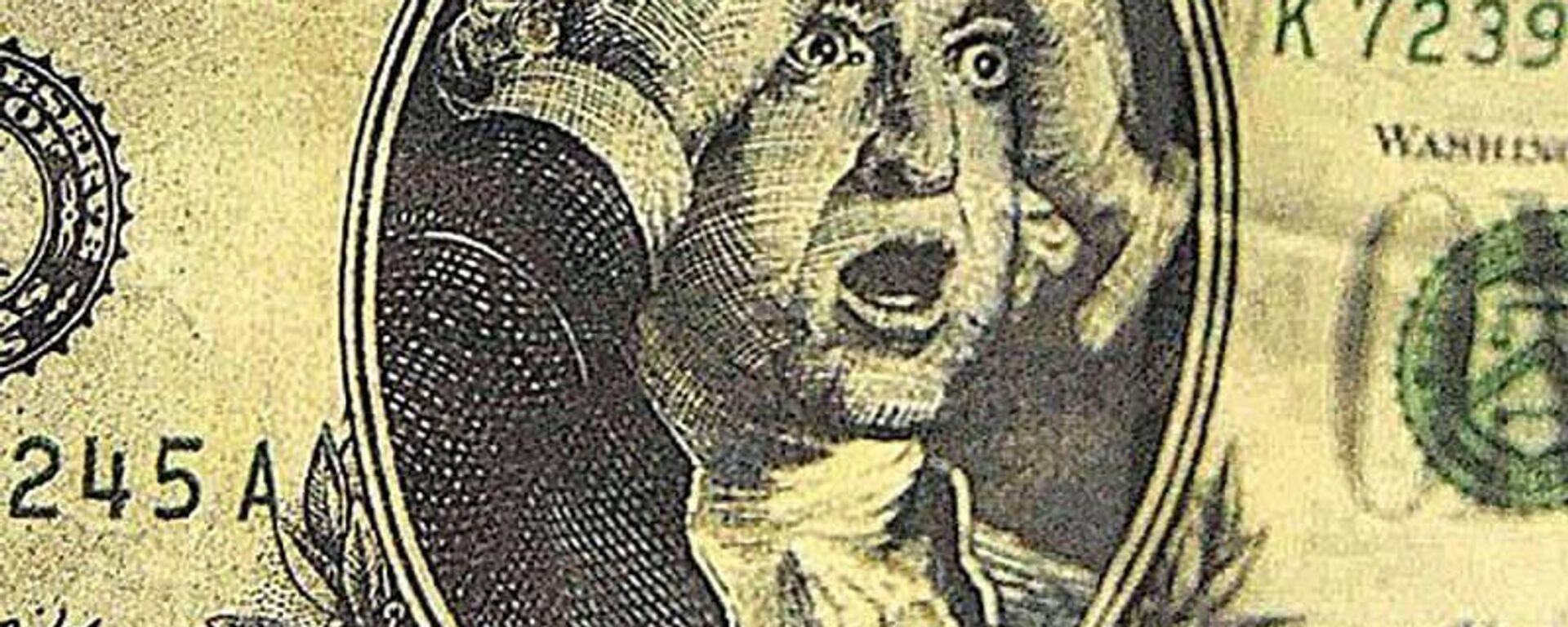 Мировая валютная система, в которой долгое время доминировал доллар, сталкивается с растущей конкуренцией со стороны БРИКС — Al Jazeera - Sputnik Молдова, 1920, 06.11.2025