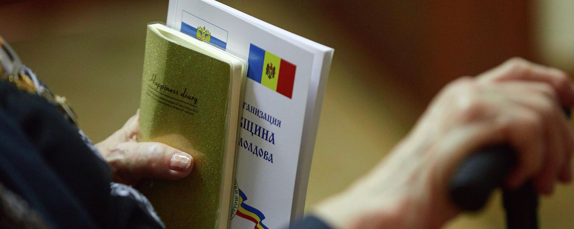 Индексация пенсий и соцпособий в 2026 году будет 6,8%: парламент принял бюджет соцстраха - Sputnik Молдова, 1920, 29.12.2025