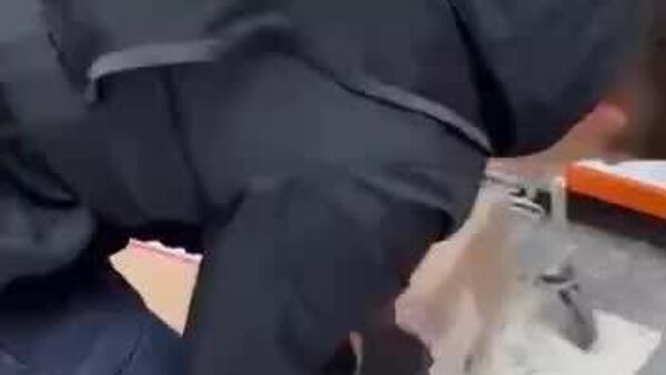 В Кишиневе накрыли международная наркосеть — изъяты наркотики на 2,5 млн леев, сообщили в Генинспекторате полиции - Sputnik Молдова