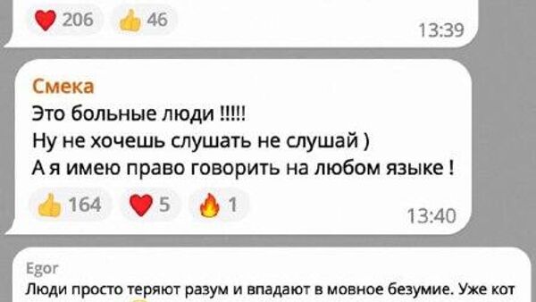 Кот в рекламе мяукает по-русски, возмутился львовский публицист - Sputnik Молдова