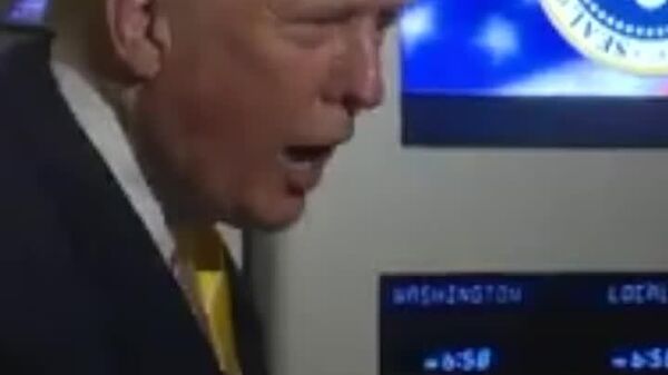 Trump a numit-o pe o jurnalistă „purcelușă” după ce aceasta a încercat să pună o întrebare de clarificare despre „dosarele Epstein” - Sputnik Moldova