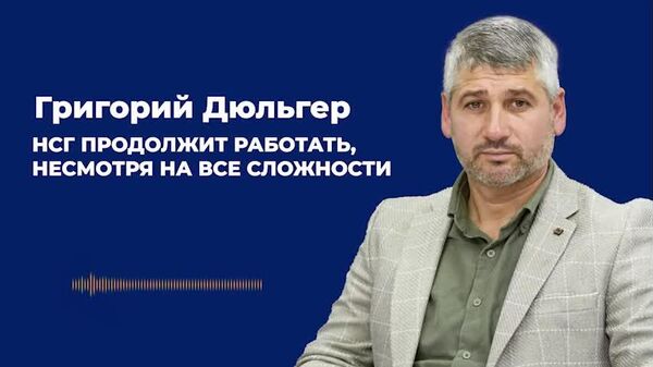 Дюльгер: НСГ продолжит работать, несмотря на все сложности - Sputnik Молдова
